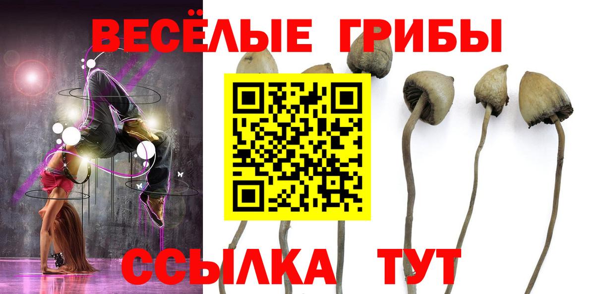Галлюциногенные грибы ЛСД Балашиха